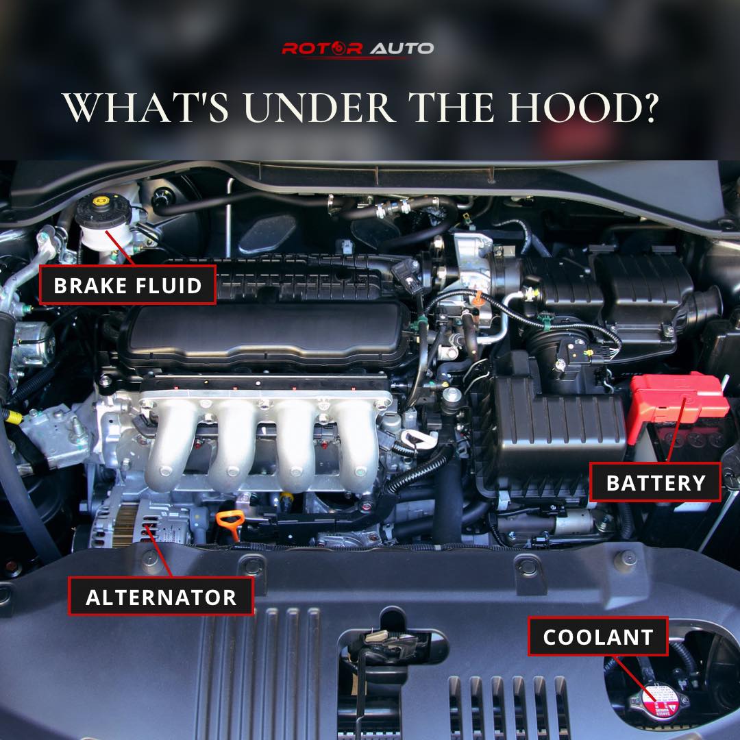 Alternator Repair Service